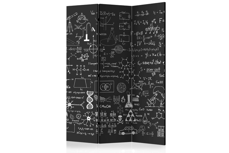 Romdeler - Science on Chalkboard 135x172 - Artgeist sp. z o. o. - Bretteskjerm - Romdelere