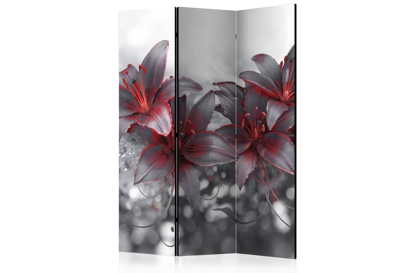 Romdeler Shadow Of Passion 135x172 - Artgeist sp. z o. o. - Innredning - Romdelere - Bretteskjerm