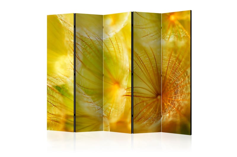 Romdeler - Soft dandelion flower II 225x172 - Artgeist sp. z o. o. - Innredning - Romdelere - Bretteskjerm