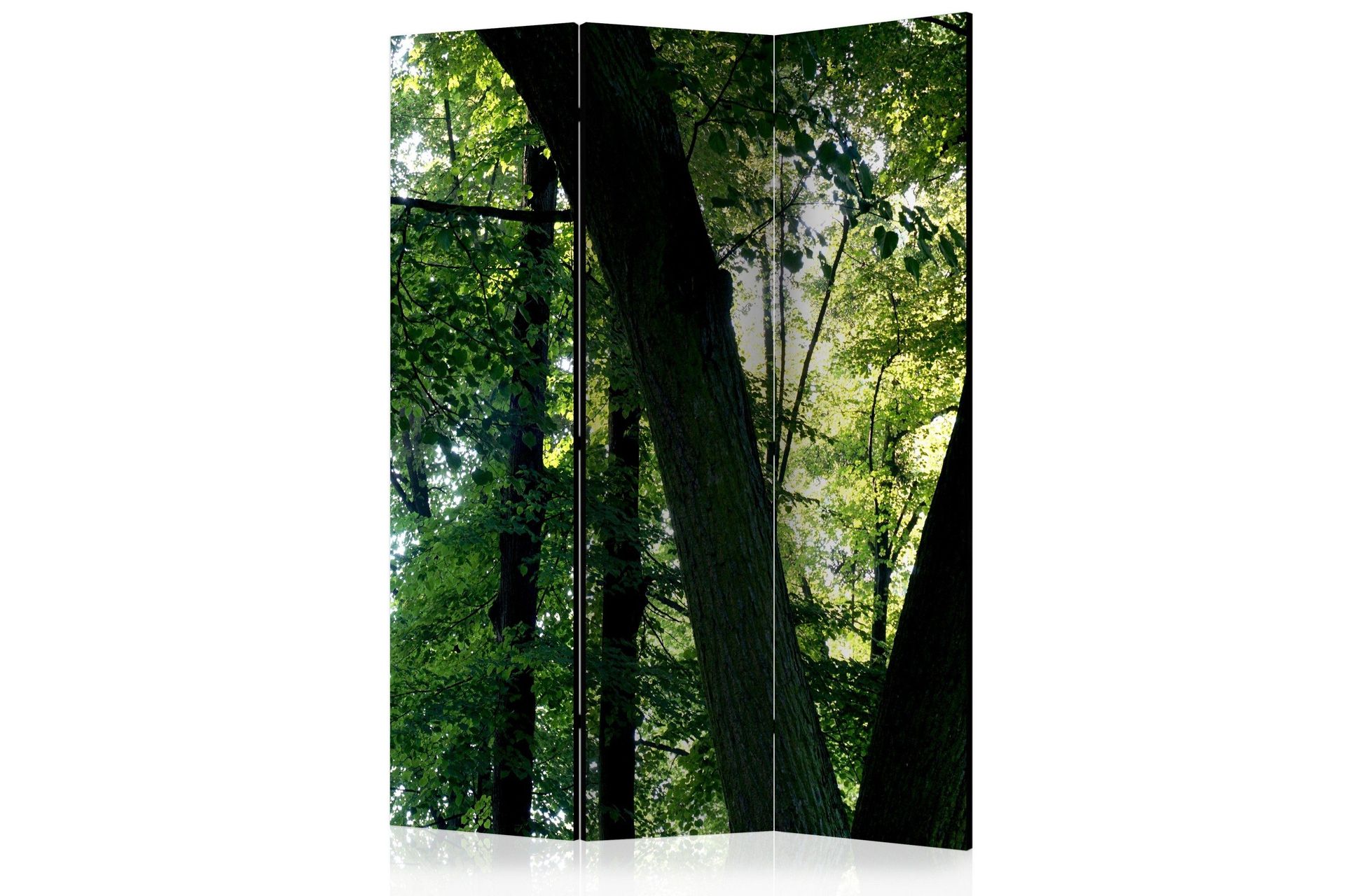 Romdeler - Spring in the Park 135x172 - Artgeist sp. z o. o.
