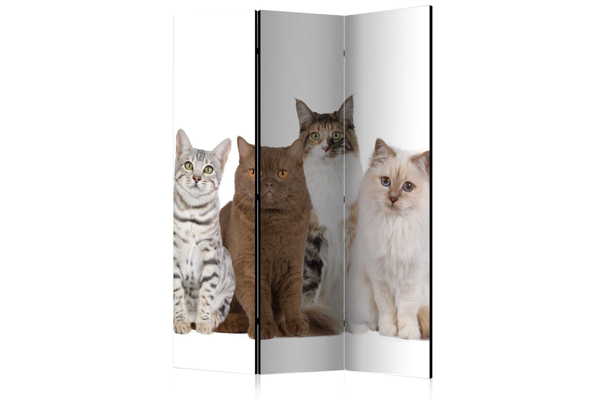 Romdeler Sweet Cats 135x172 - Artgeist sp. z o. o.
