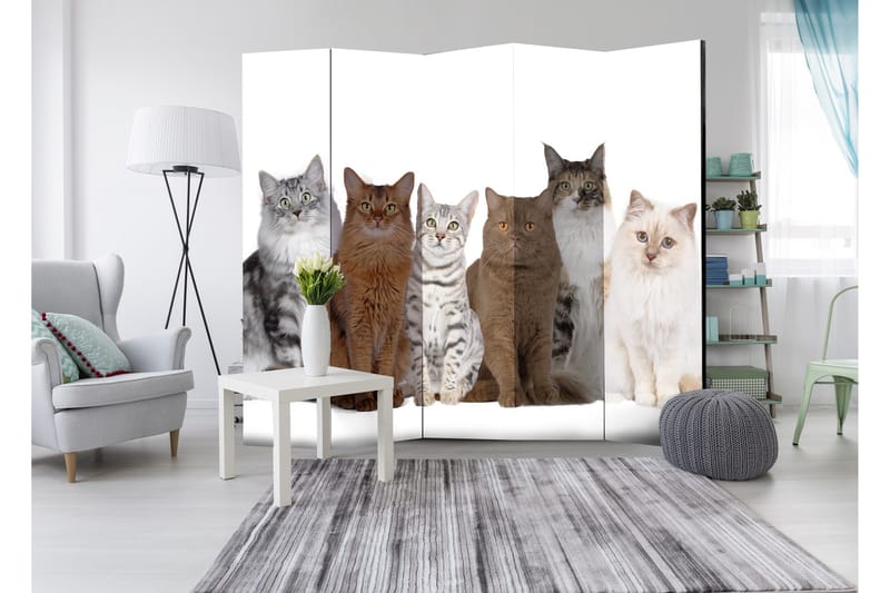 Romdeler Sweet Cats 225x172 - Artgeist sp. z o. o. - Innredning - Romdelere - Bretteskjerm