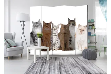 Romdeler Sweet Cats 225x172 - Artgeist sp. z o. o. - Innredning - Romdelere - Bretteskjerm