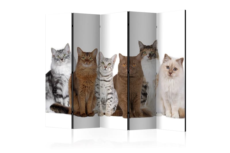 Romdeler Sweet Cats 225x172 - Artgeist sp. z o. o. - Innredning - Romdelere - Bretteskjerm