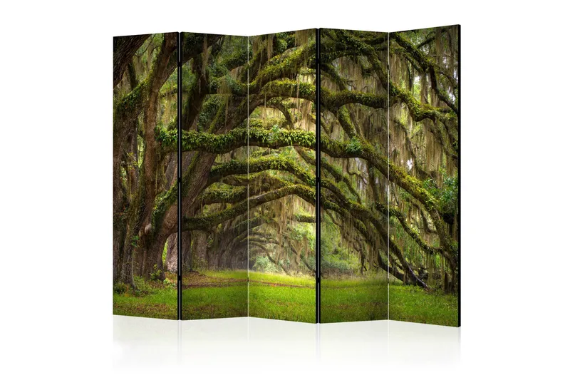 Romdeler - Tree embrace II 225x172, Artgeist sp. z o. o.