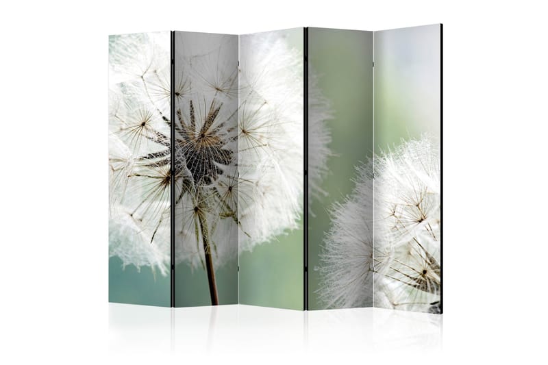 Romdeler - Two dandelion II 225x172 - Artgeist sp. z o. o. - Bretteskjerm - Romdelere