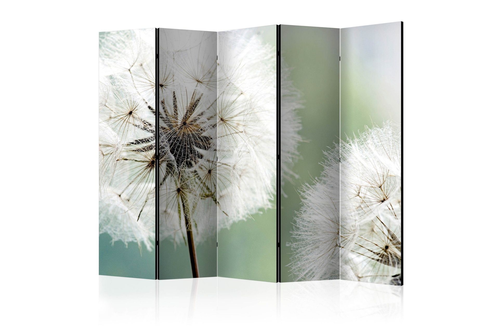 Romdeler - Two dandelion II 225x172 - Artgeist sp. z o. o.