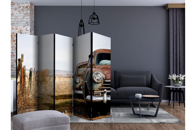 Romdeler - Two old American cars II 225x172 - Artgeist sp. z o. o. - Innredning - Romdelere - Bretteskjerm
