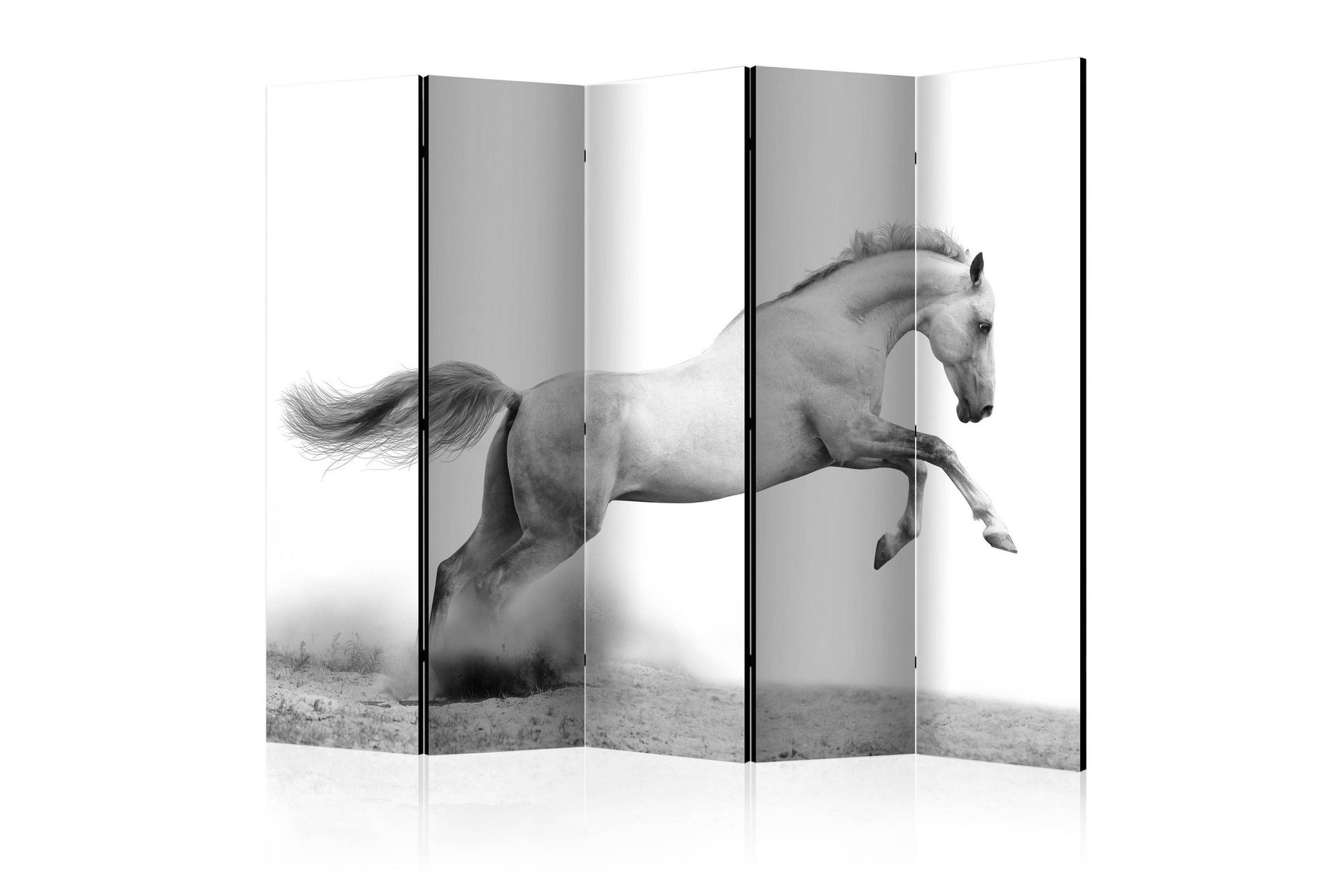 Romdeler - White gallop II 225x172 - Artgeist sp. z o. o.