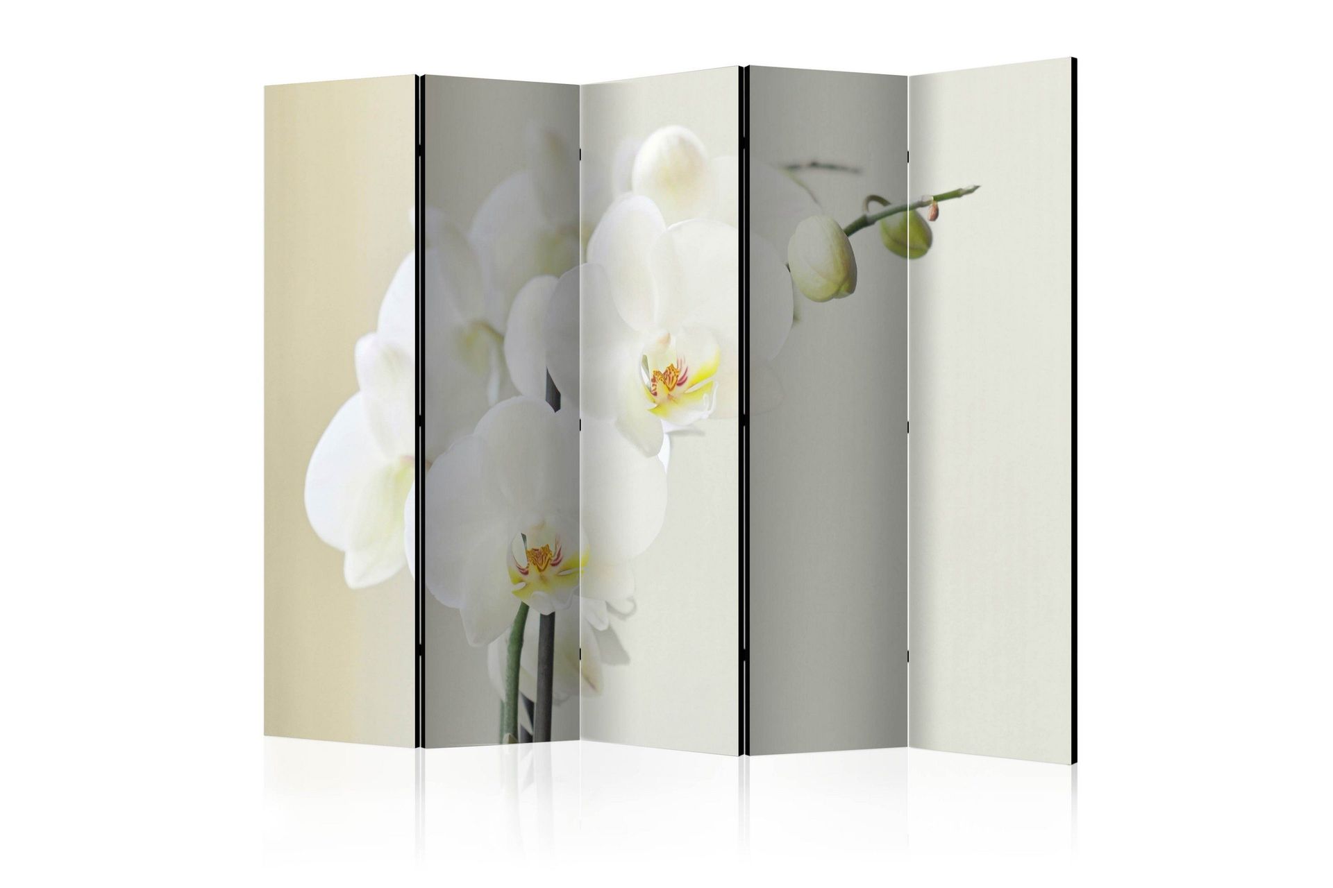 Romdeler - White orchid II 225x172 - Artgeist sp. z o. o.