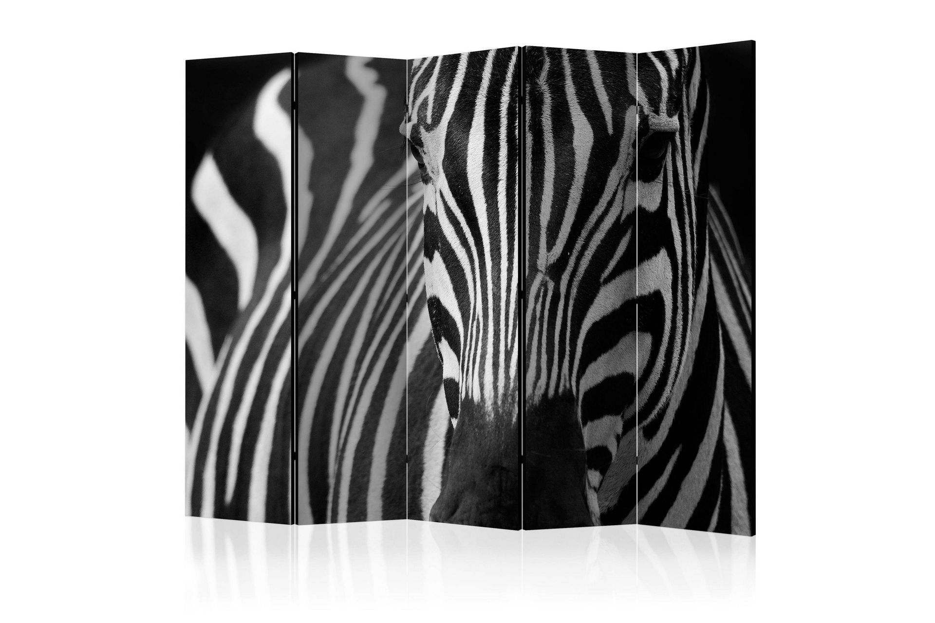 Romdeler - White with black stripes II 225x172 - Artgeist sp. z o. o.