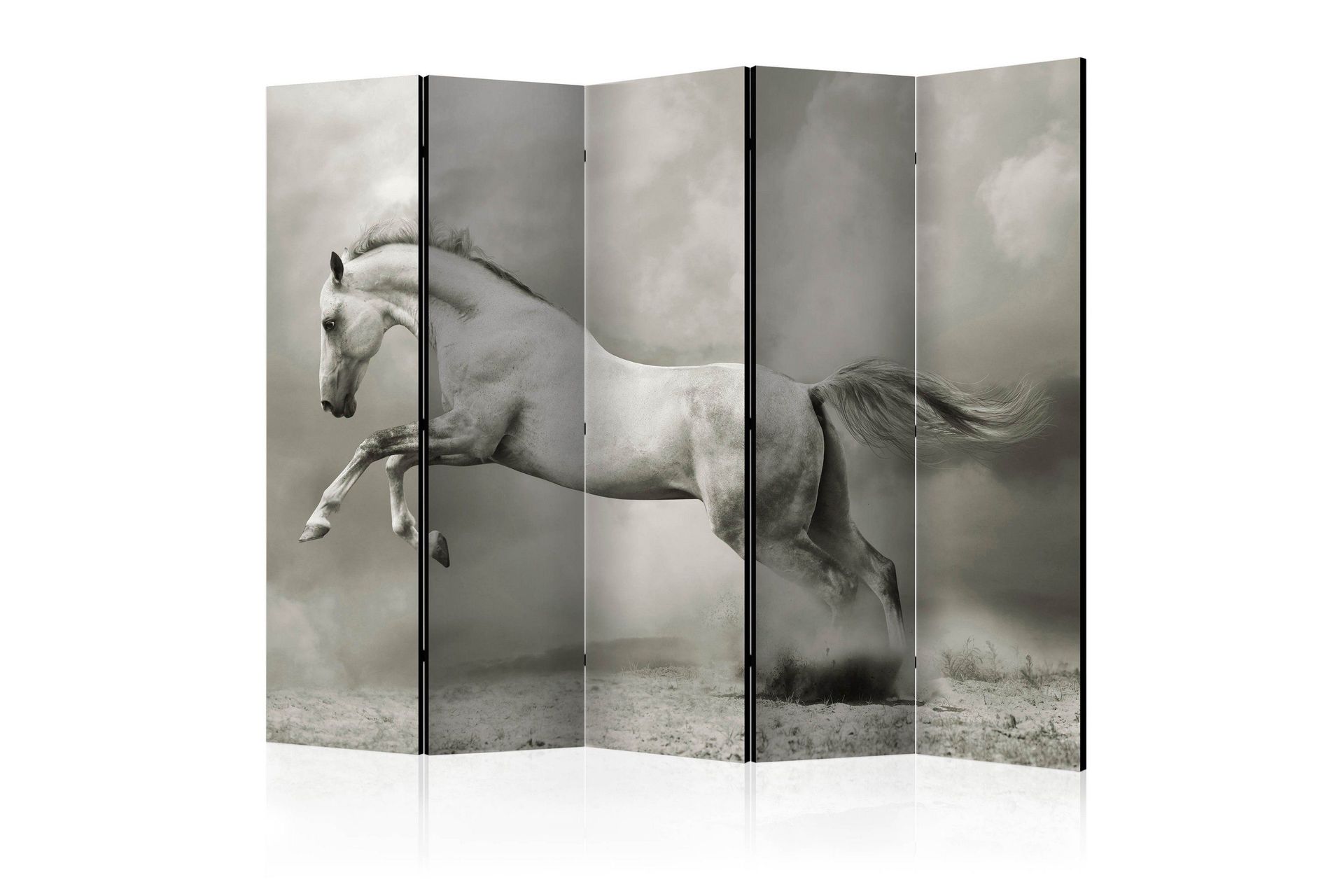 Romdeler - Wild Stallion II 225x172 - Artgeist sp. z o. o.