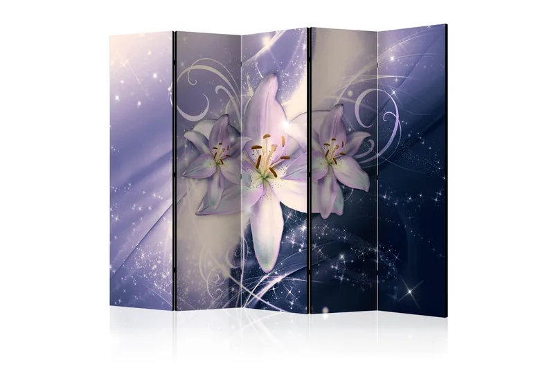 Romdeler - Wintry Galaxy II 225x172, Artgeist sp. z o. o.