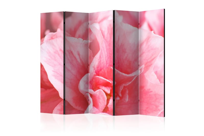 Romdeler - Pink azalea flowers II 225x172 - Artgeist sp. z o. o. - Innredning - Romdelere - Bretteskjerm