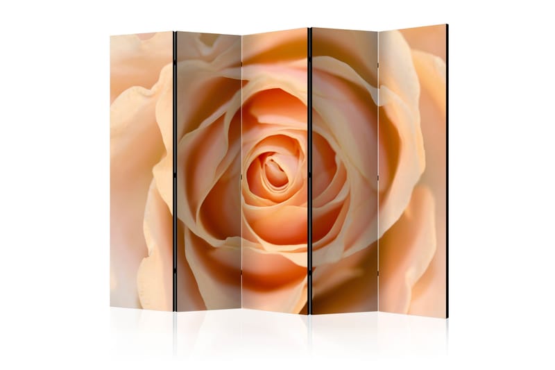 Romdeler - Peach Colored Rose II 225x172 - Artgeist sp. z o. o. - Innredning - Romdelere - Bretteskjerm