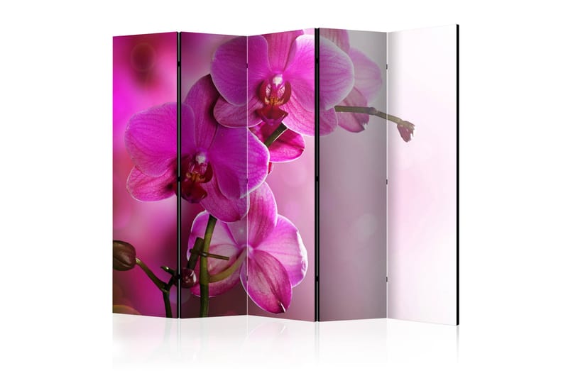 Romdeler - Pink Orchid II 225x172 - Artgeist sp. z o. o. - Innredning - Romdelere - Bretteskjerm