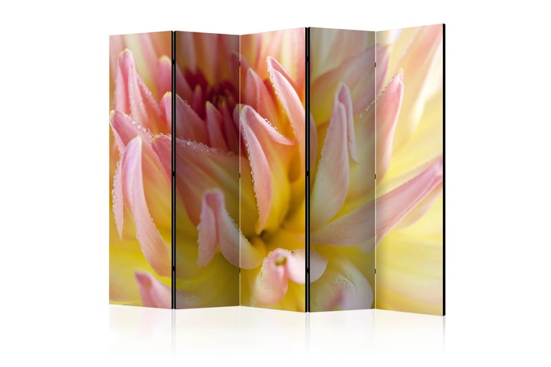 Romdeler - Pastel colored dahlia flower 225x172 - Artgeist sp. z o. o. - Bretteskjerm - Romdelere