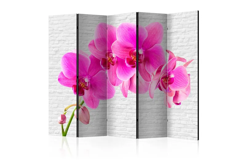 Romdeler - Pink excitation II 225x172 - Artgeist sp. z o. o. - Innredning - Romdelere - Bretteskjerm