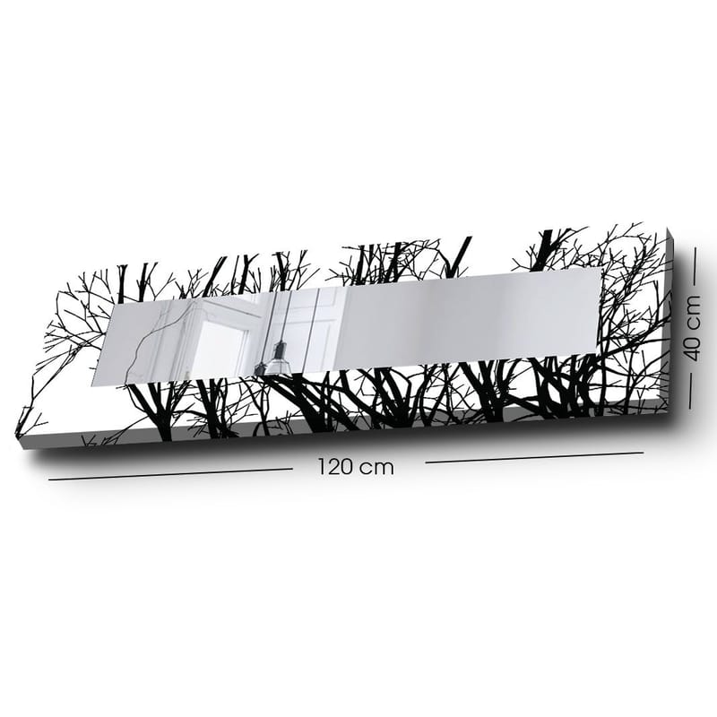 Dekorspeil 40x120 cm - Flerfarget - Innredning - Speil - Veggspeil