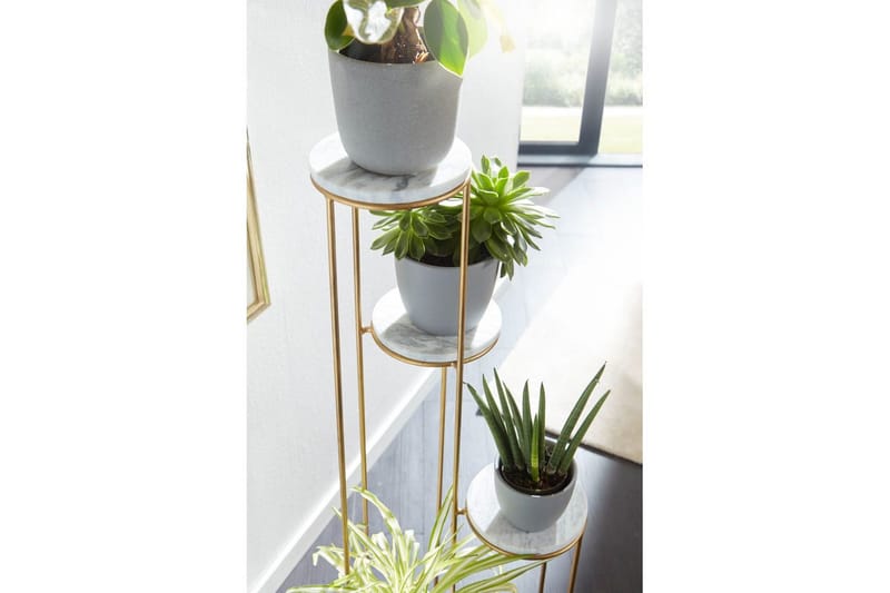 Stående hylle Wohnling Ekte marmortopp, blomsterstativ, gyllen metallbase, moderne stil - Innredning - Krukker