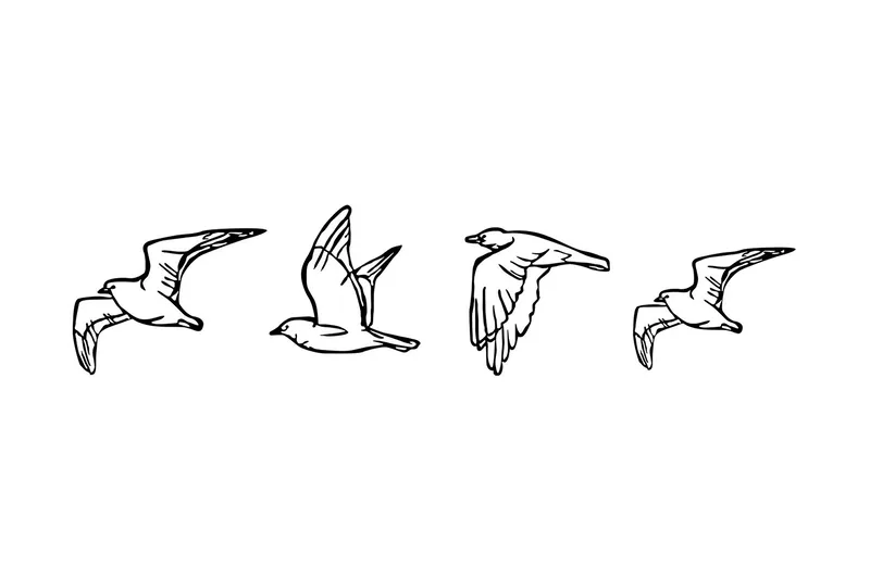 Birds Veggdekor, Svart