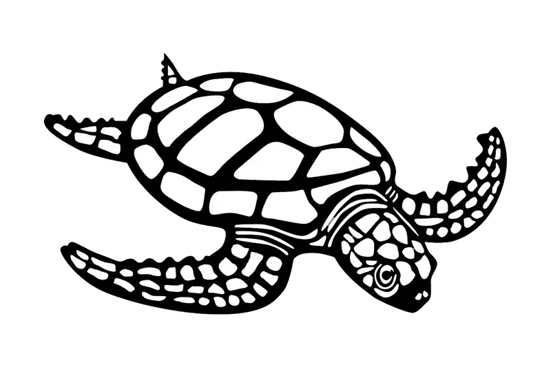 Caretta Caretta Veggdekor, Svart