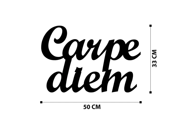 Carpediem 1 Veggdekor - Svart - Innredning - Veggdekorasjon - Skilt - Metallskilt