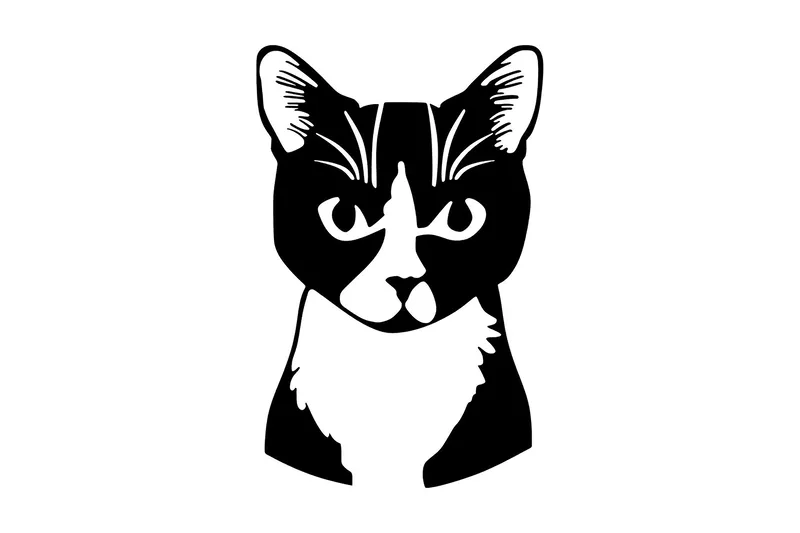 Cat 10 Veggdekor, Svart