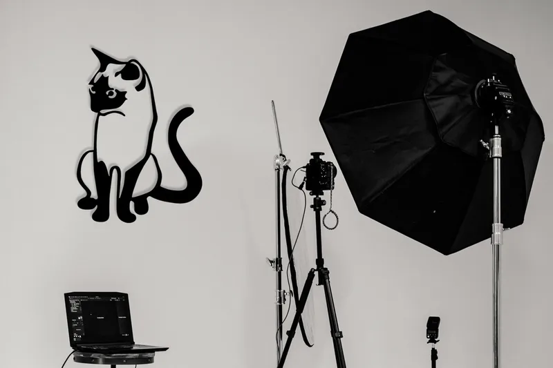 Cat 2 Metal Decor Veggdekor, Svart