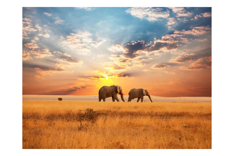 Fototapet Afrikansk Savanne Elefanter 400x309, Artgeist sp. z o. o.