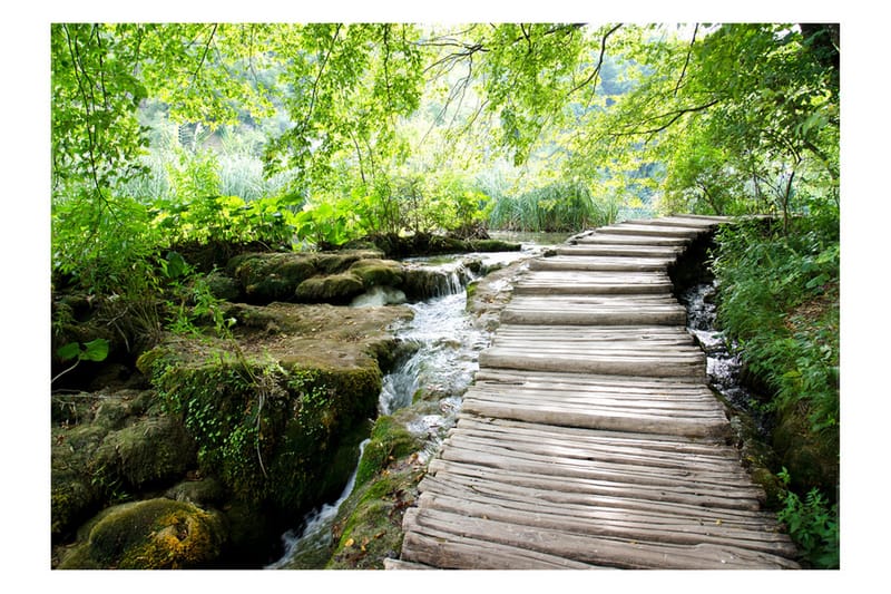 Fototapet Forest Path 400x280, Artgeist sp. z o. o.