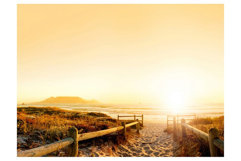 Fototapet Går Riktning Mot Solen 400x309, Artgeist sp. z o. o.