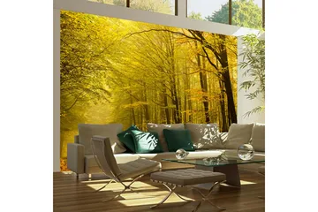 Fototapet Vei Høst Skogen 350x270 - Artgeist sp. z o. o. - Innredning - Veggdekorasjon - Tapeter - Fototapeter