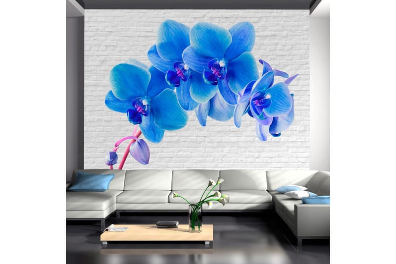 Bakgrunn Blå Excitation 150x105, Artgeist sp. z o. o.