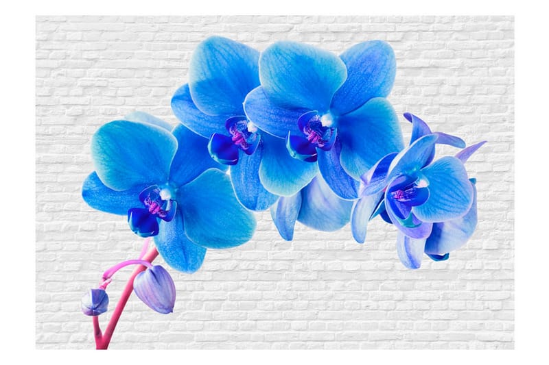 Bakgrunn Blå Excitation 150x105 - Artgeist sp. z o. o. - Innredning - Veggdekorasjon - Tapeter - Fototapeter