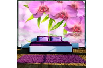 Bakgrunn Orchids In Lilac Color 250x175 - Artgeist sp. z o. o. - Innredning - Veggdekorasjon - Tapeter - Fototapeter