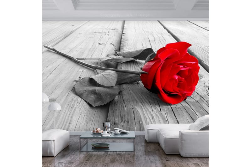 Fototapet Abandoned Rose 400x280 - Innredning - Veggdekorasjon - Tapeter - Fototapeter