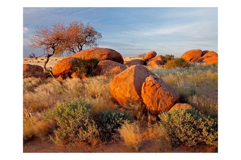 Fototapet African Landscape Namibia 250x193 - Artgeist sp. z o. o. - Innredning - Veggdekorasjon - Tapeter - Fototapeter