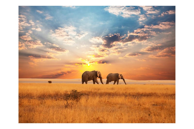 Fototapet African Savannah Elephants 250x193 - Artgeist sp. z o. o. - Innredning - Veggdekorasjon - Tapeter - Fototapeter