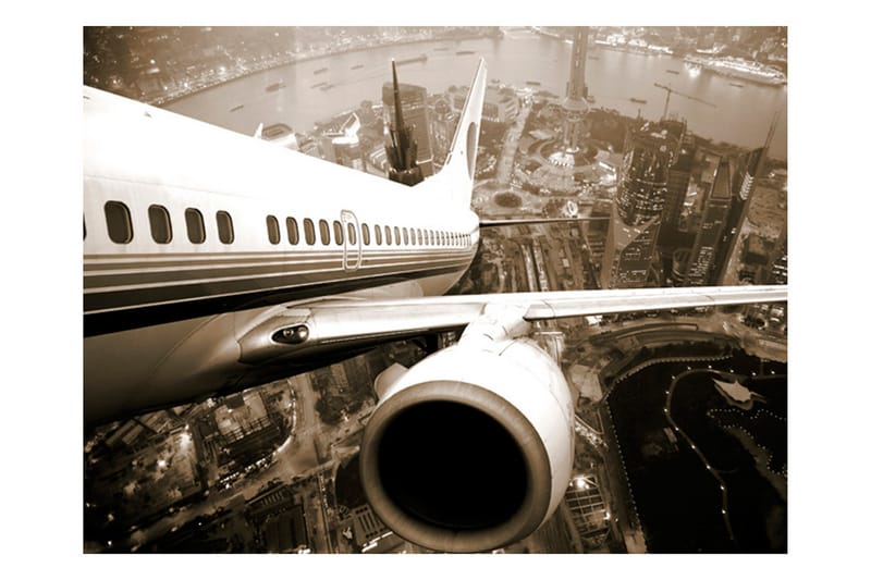 Fototapet Aircraft Lifts From City 250x193 - Artgeist sp. z o. o. - Innredning - Veggdekorasjon - Tapeter - Fototapeter