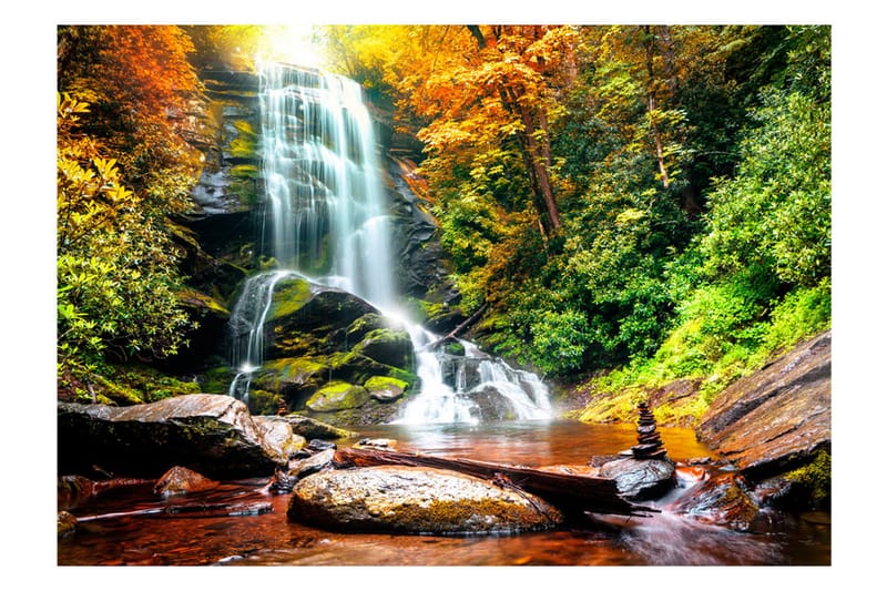 Fototapet Amazing Wonder Of Nature 300x210 - Artgeist sp. z o. o. - Innredning - Veggdekorasjon - Tapeter - Fototapeter