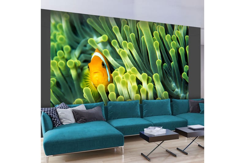 Fototapet Anemonefish 200x154 - Artgeist sp. z o. o. - Innredning - Veggdekorasjon - Tapeter - Fototapeter
