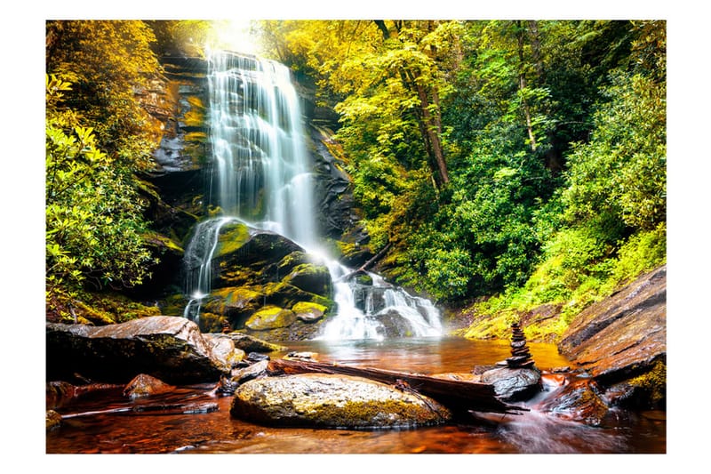 Fototapet Another Wonder Of Nature 350x245, Artgeist sp. z o. o.