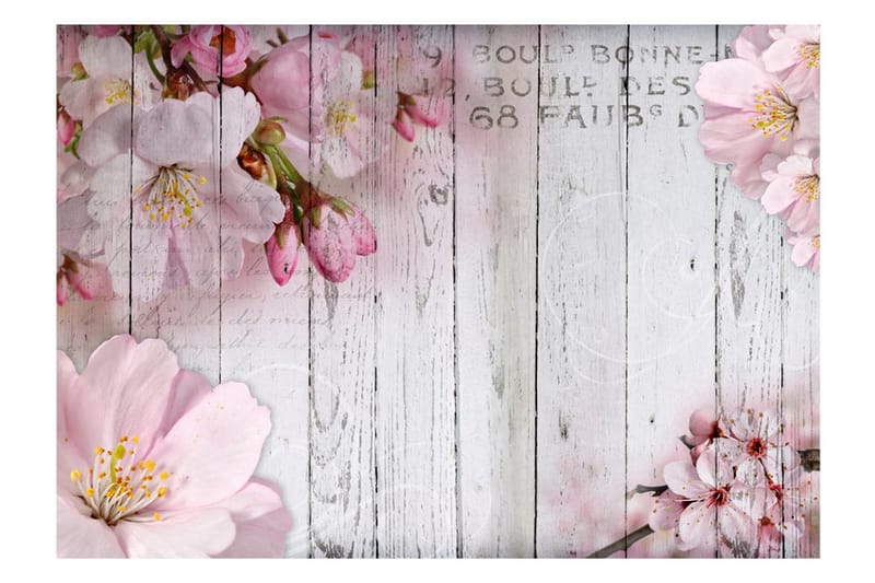 Fototapet Apple Blossoms 100x70 - Artgeist sp. z o. o. - Innredning - Veggdekorasjon - Tapeter - Fototapeter