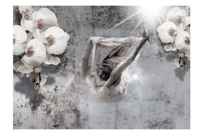 Fototapet Arrangement With Orchid 150x105 - Artgeist sp. z o. o. - Innredning - Veggdekorasjon - Tapeter - Fototapeter