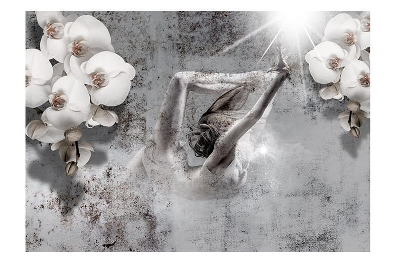 Fototapet Arrangement With Orchid 400x280 - Artgeist sp. z o. o. - Innredning - Veggdekorasjon - Tapeter - Fototapeter