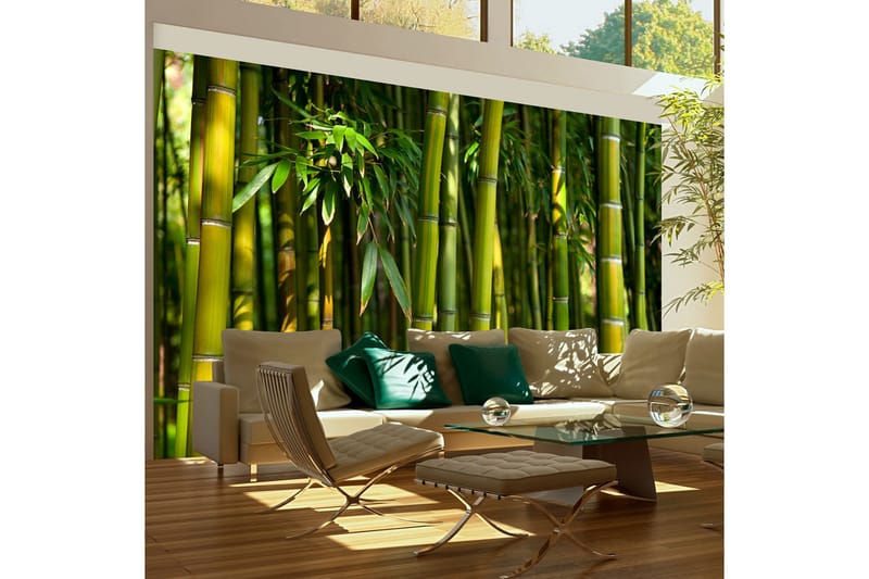 Fototapet Asiatisk Bambusskog 450x270, Artgeist sp. z o. o.