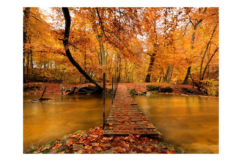 Fototapet Autumn Bridge 250x193 - Artgeist sp. z o. o. - Innredning - Veggdekorasjon - Tapeter - Fototapeter
