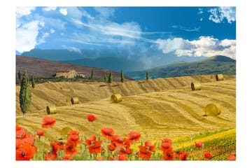 Fototapet Autumn Landscape 300x210 - Artgeist sp. z o. o. - Innredning - Veggdekorasjon - Tapeter - Fototapeter