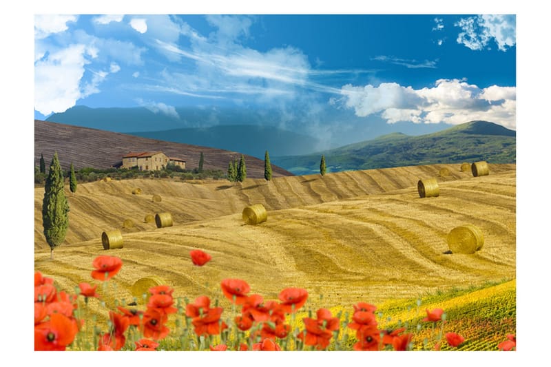 Fototapet Autumn Landscape 400x280 - Artgeist sp. z o. o. - Innredning - Veggdekorasjon - Tapeter - Fototapeter